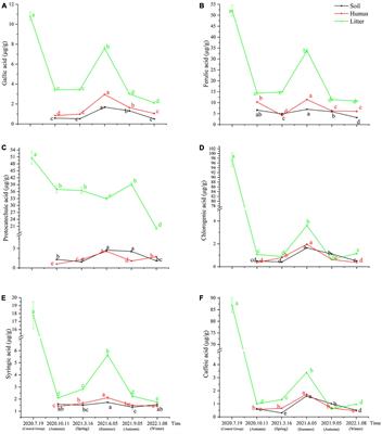 Distribution of six phenolic acids and soil nutrient relationships during litter decomposition in Rhododendron forests